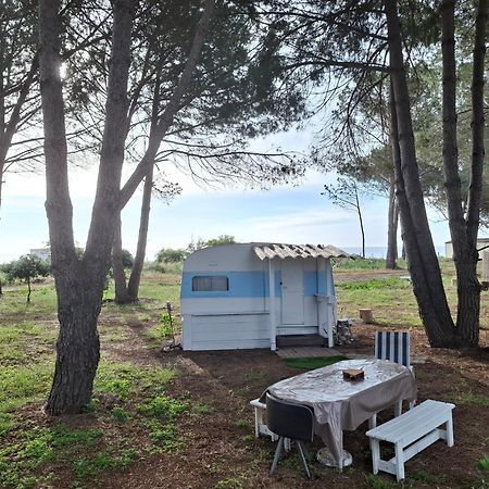 Caravane Janis On The Beach Lucciana  Exterior foto